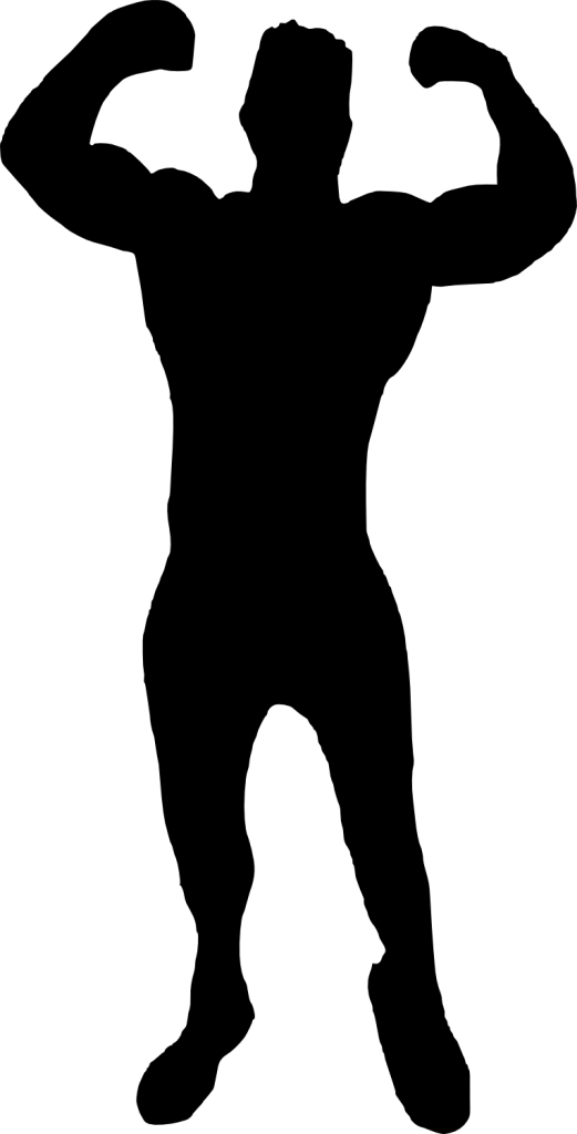 Bodybuilder Silhouette Png - Woman Body Builder Icon Png Clipart (480x944), Png Download