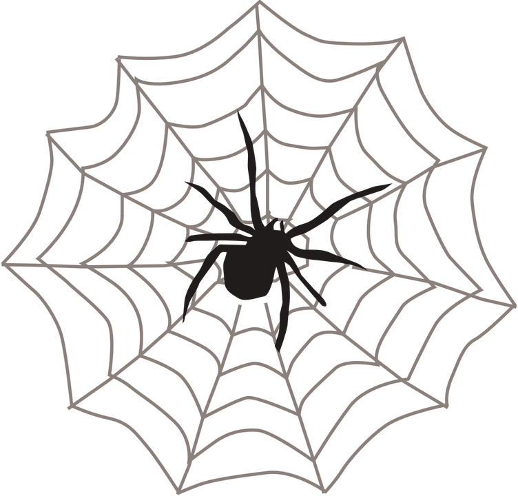 Spider On Web Clipart - Png Download (752x720), Png Download