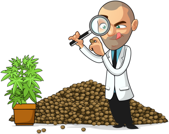 About I Love Growing Marijuana - Growing Cartoon Weed Clipart (600x600), Png Download