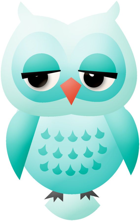Folder - Turquoise Owls Clipart (568x900), Png Download