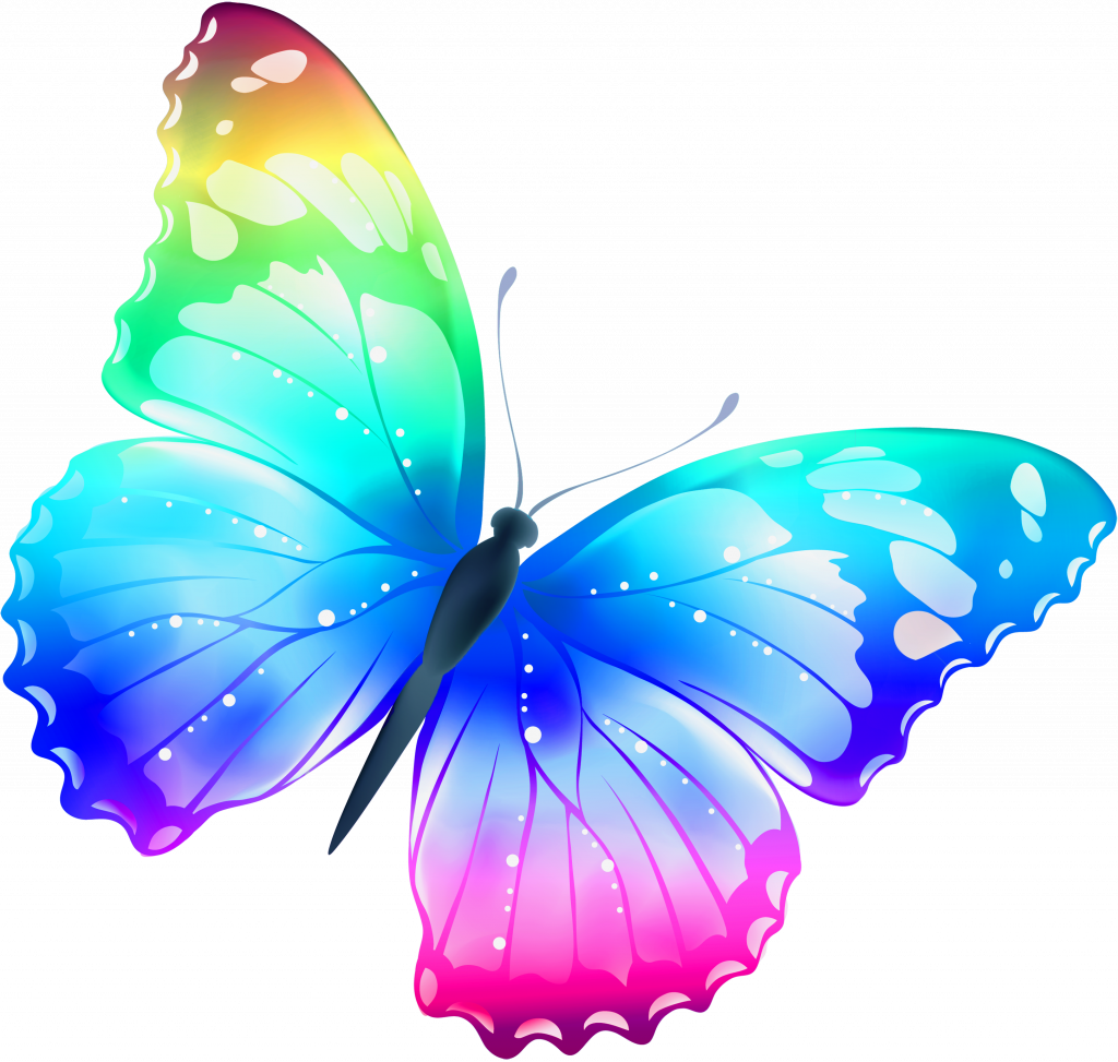 Last Minute Free Images Butterfly Pictures Of Butterflies - Color Butterfly Png Clipart (1024x973), Png Download