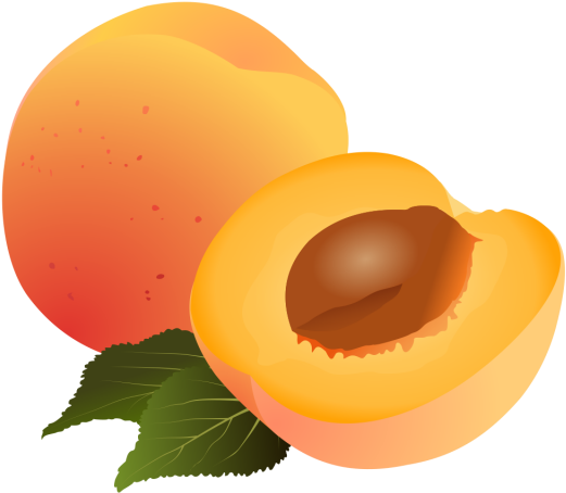 Clipart Damasco Frutos Logo Grtis Png E - Abricot Dessin Transparent Png (640x640), Png Download