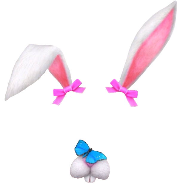 Snapchat - Rabbit Snapchat Filter Transparent Clipart (622x726), Png Download