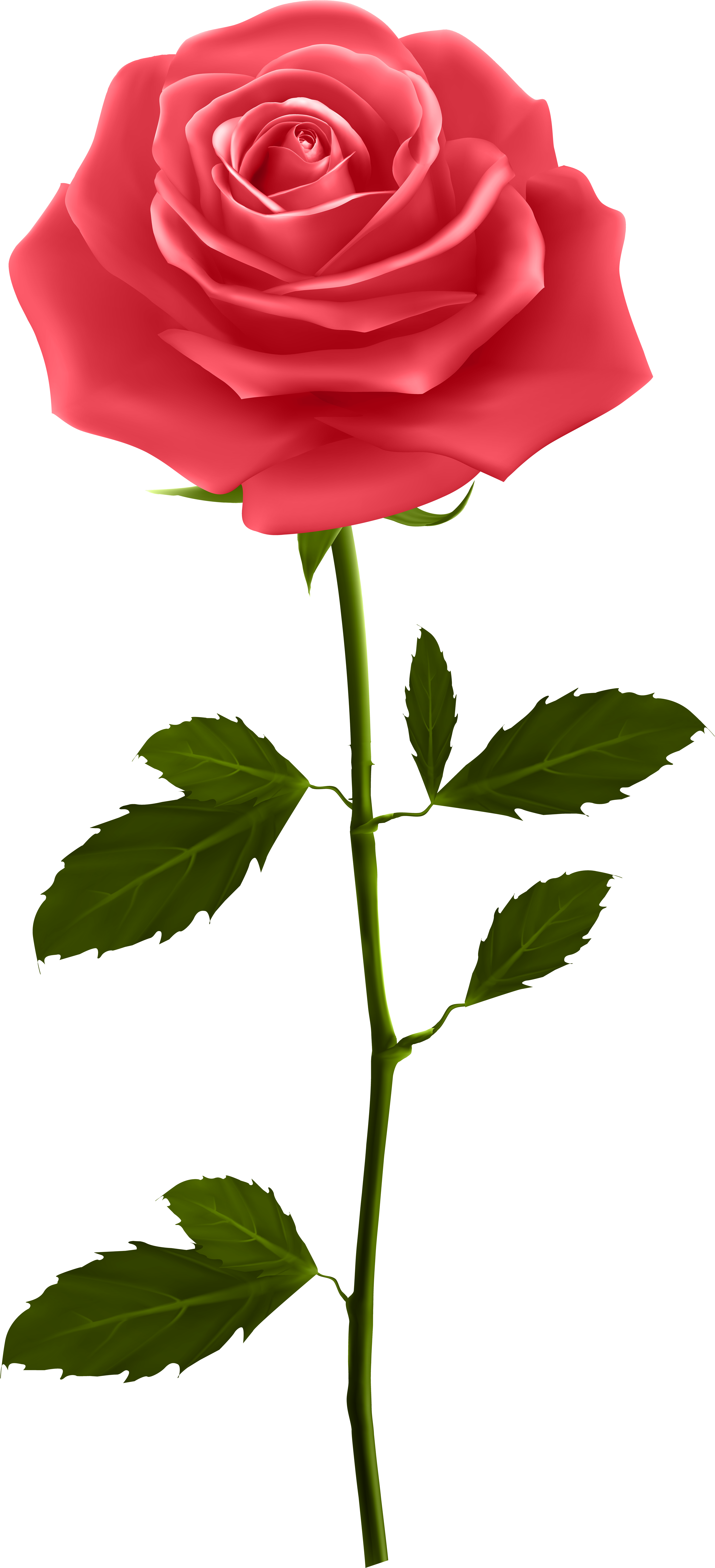 Good Morning Gif Hd Clipart (3706x8000), Png Download