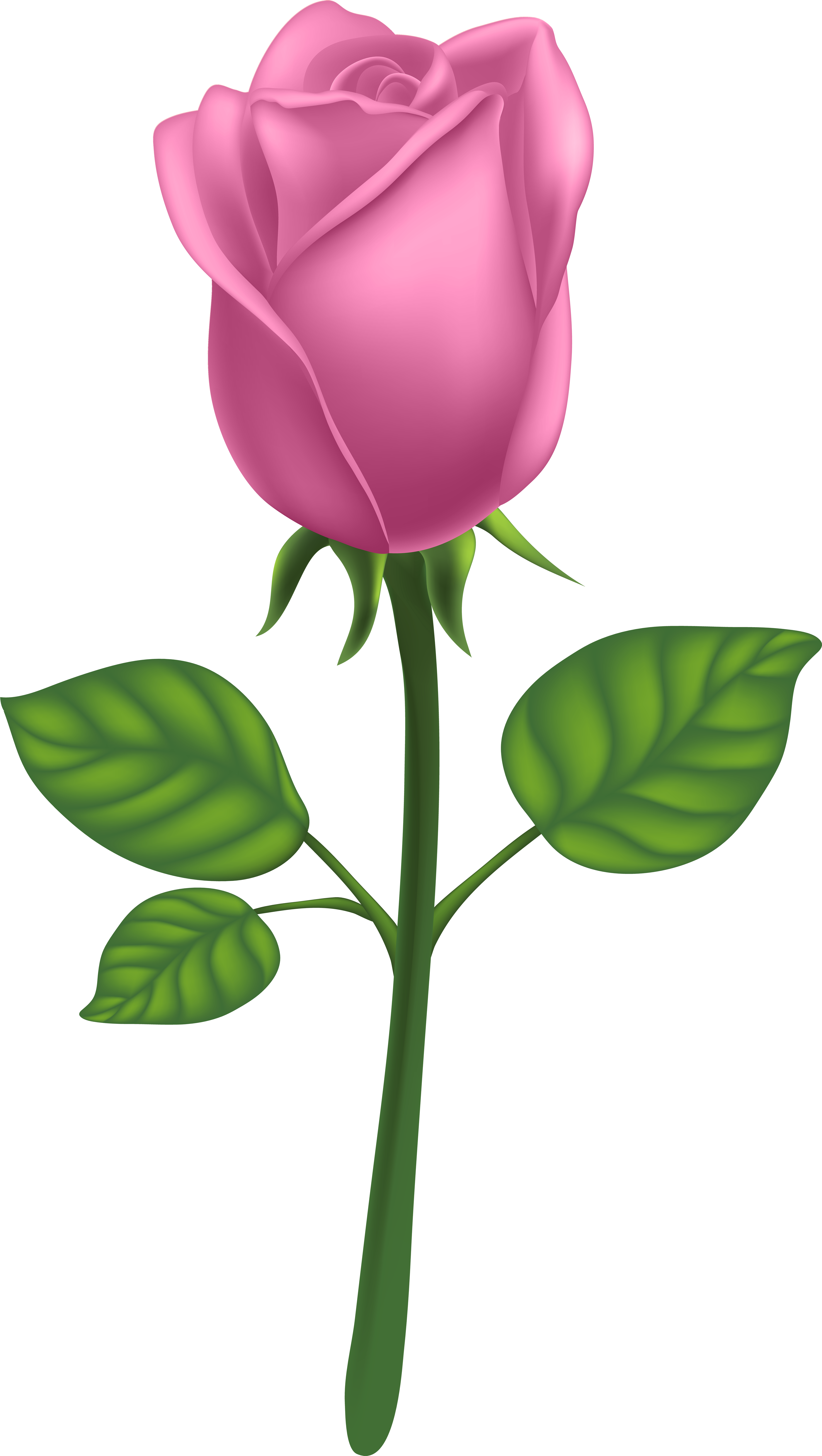 Family Clipart Png Transparent Png (4518x8000), Png Download