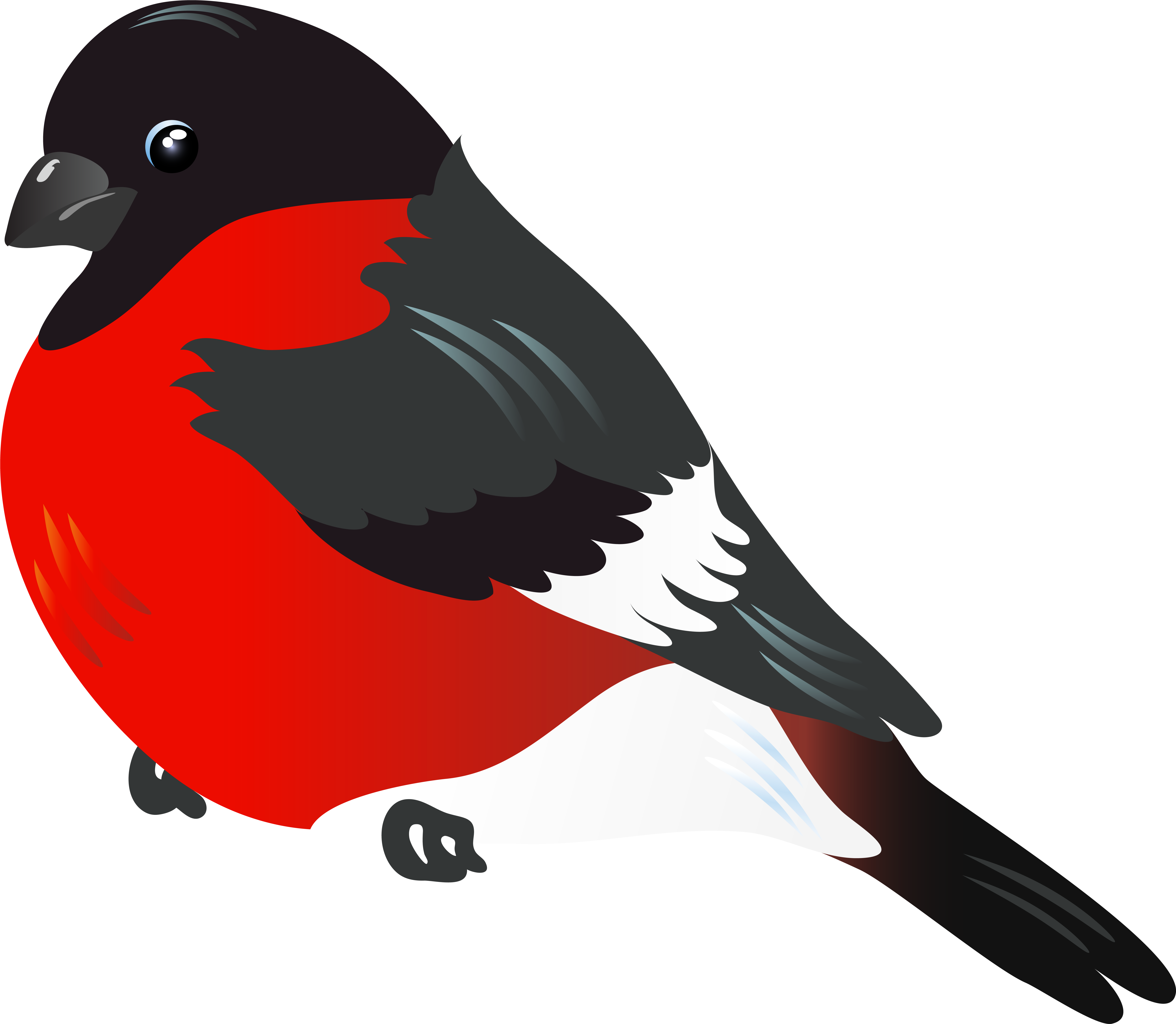 Red Bird Clipart Png Transparent Png (6229x5427), Png Download