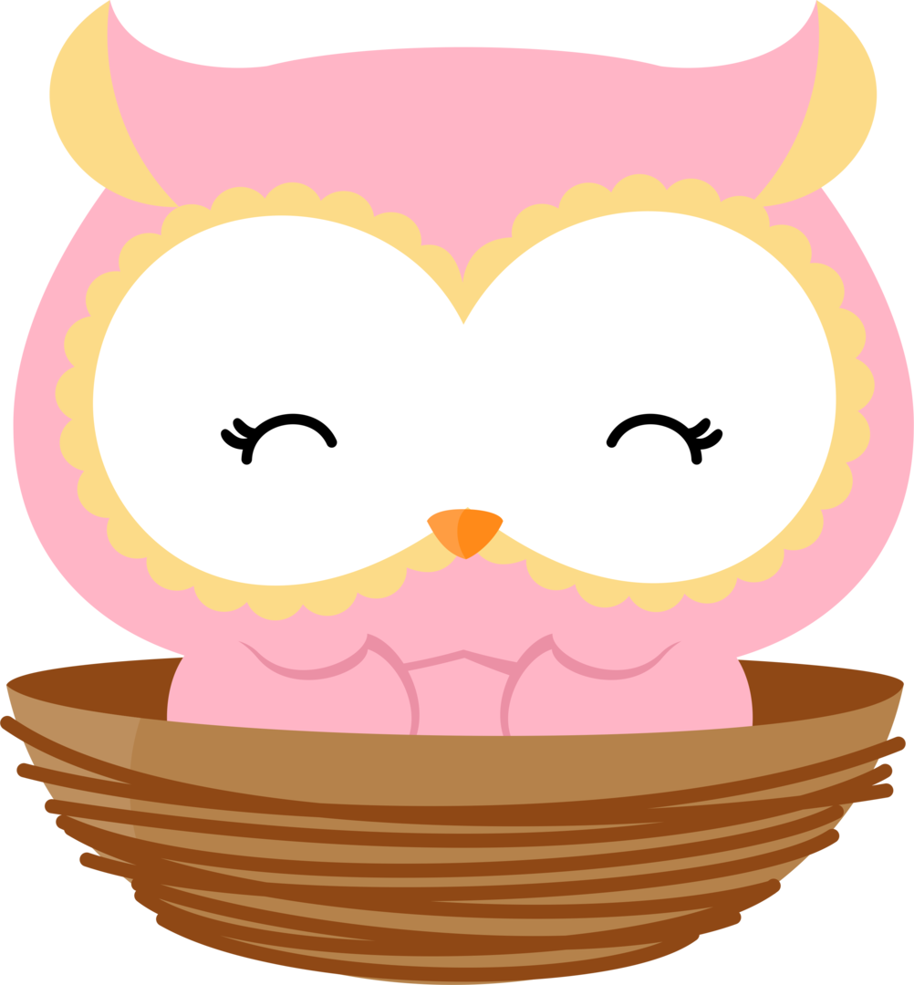 Owl Png, Bird Clipart, Owl Decorations, Cute Owl, Night Transparent Png (1002x1080), Png Download