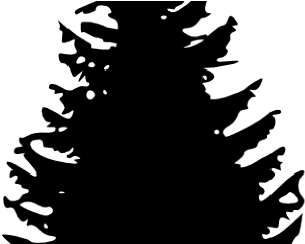 Pinetree Clipart - Pine Tree Black And White Clipart - Png Download (640x480), Png Download