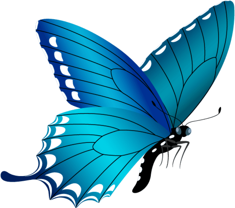 Free Png Download Blue Butterfly Clipart Png Photo Transparent Png (850x743), Png Download