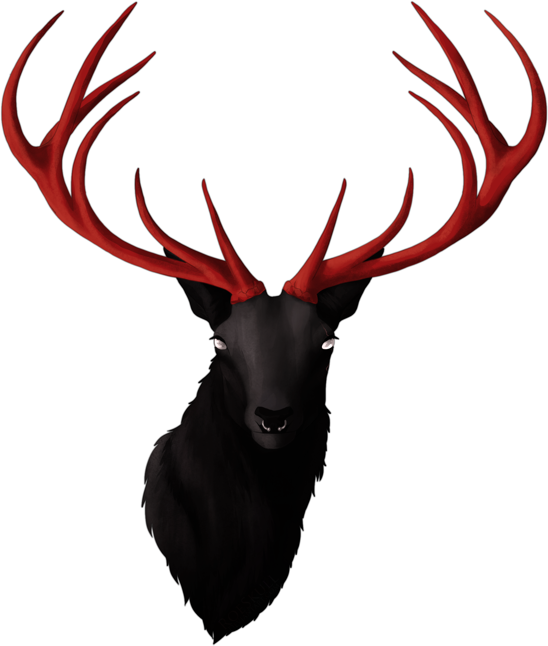 Antler Clipart Left - Png Download (1858x2176), Png Download