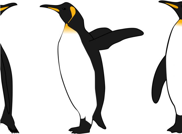 King Penguin Clipart - Png Download (640x480), Png Download