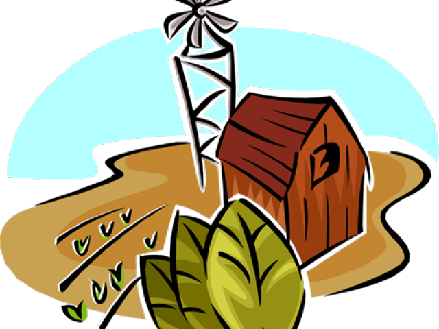 Tobacco Clipart Tobacco Farm - Png Download (640x480), Png Download