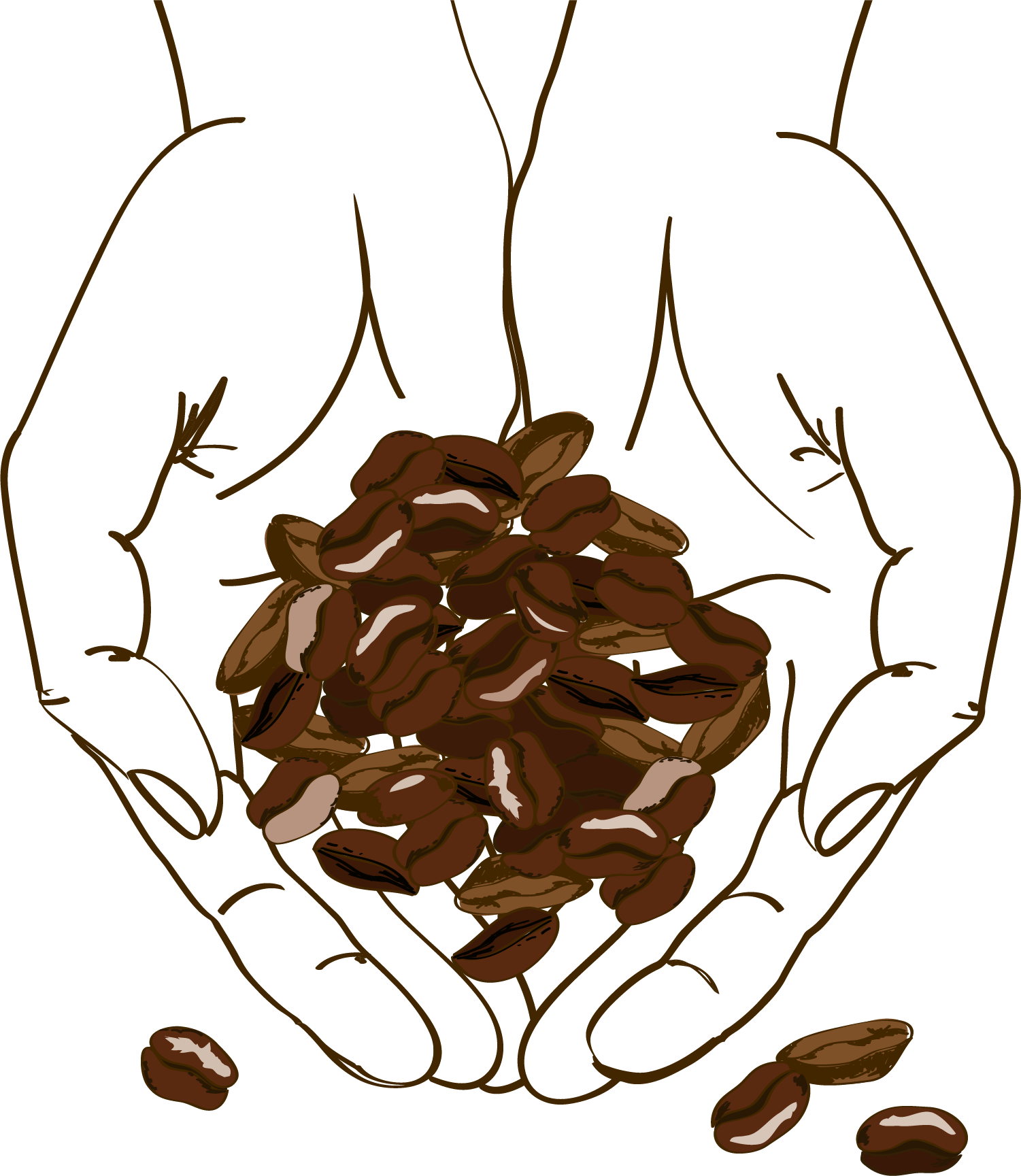 Clip Art Cafe Brown Holding Beans - Png Download (1501x1729), Png Download