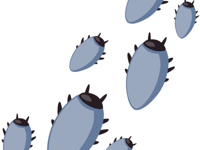 Bugs Clipart Tick - Png Download (640x480), Png Download