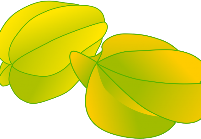 Star Fruit Clipart Ramapala - Png Download (640x480), Png Download