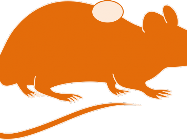 Rat Clipart Four - Png Download (640x480), Png Download