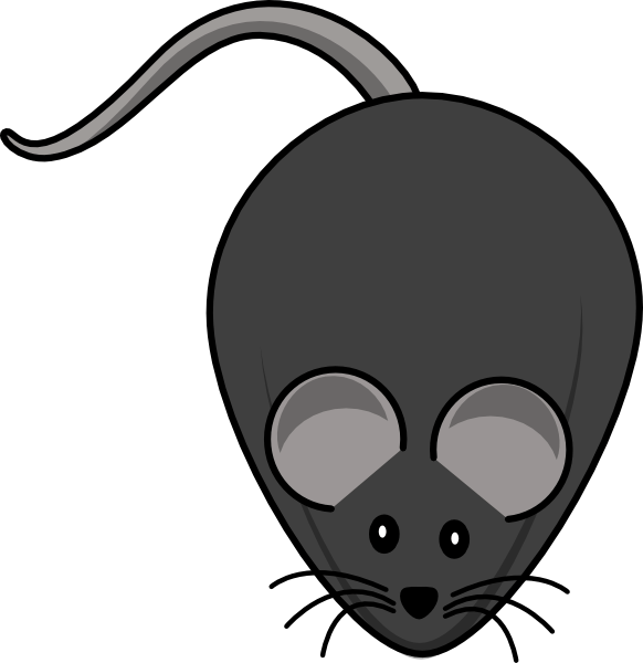 Rat Clipart - Png Download (582x600), Png Download