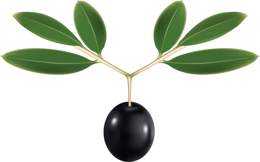 Free Png Download Olives Clipart Png Photo Png Images Transparent Png (850x532), Png Download