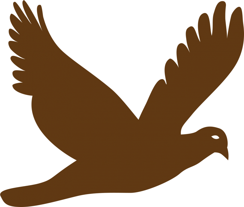 Free Png Download Flying Bird Png Images Background Clipart (850x721), Png Download