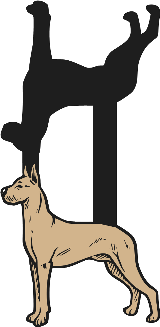 Great Dane By Request Clipart (555x1110), Png Download