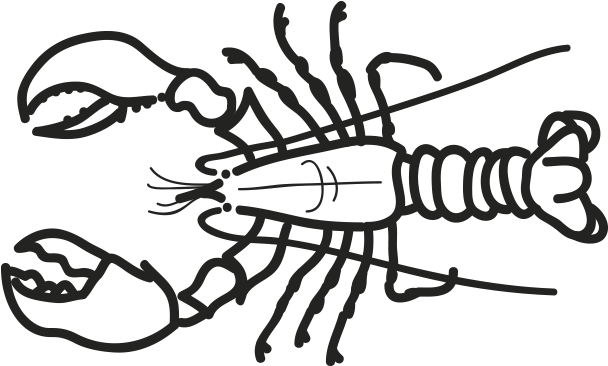 Marisco Bogavante Canadiense Homarus Americanus Clipart (796x500), Png Download