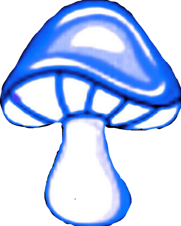 Mushroom Icon Free Icons Clipart (600x750), Png Download