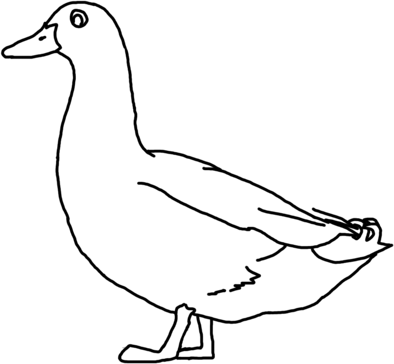Duck Png Duck Line Drawing Clip Art Library , Png Download Transparent Png (780x721), Png Download