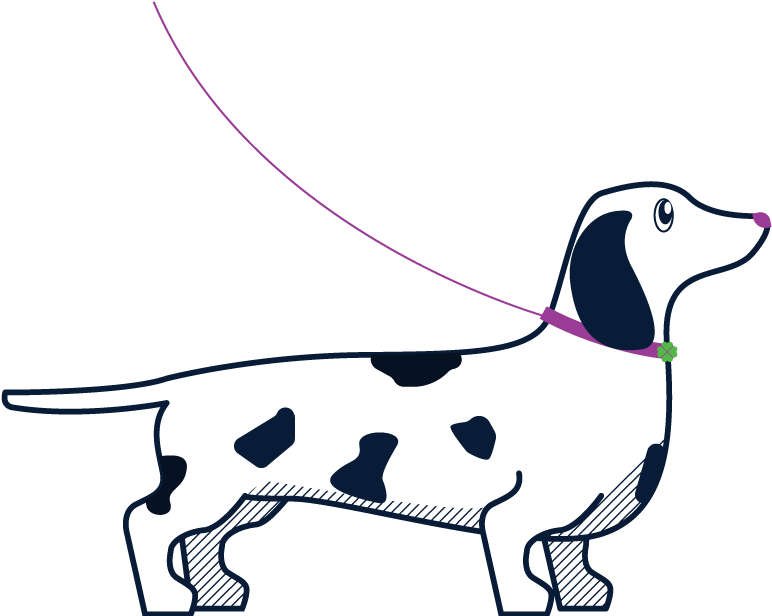 Dog Sitter, Dog Sitting, Dog Walking Clipart (800x615), Png Download