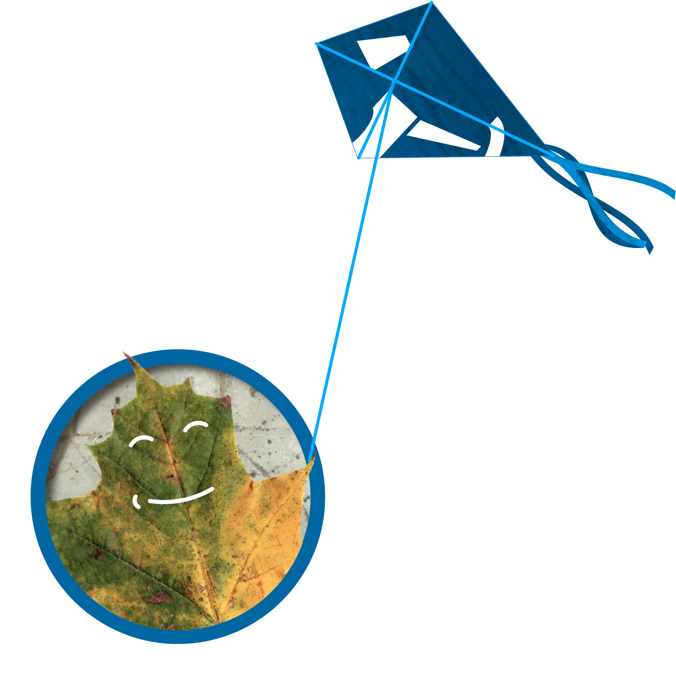 November 2016 Clipart (1500x1500), Png Download