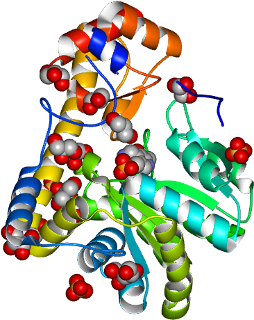Molmil Generated Image Of 2qa3 Clipart (768x768), Png Download