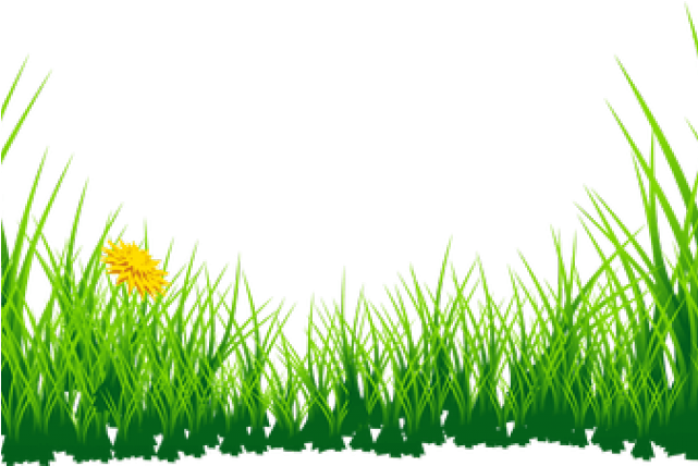Grass Clipart Frame - Png Download (640x480), Png Download