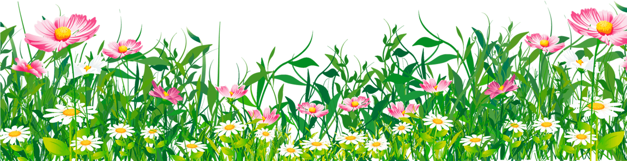 Grass With Flower Clipart - Png Download (2000x592), Png Download
