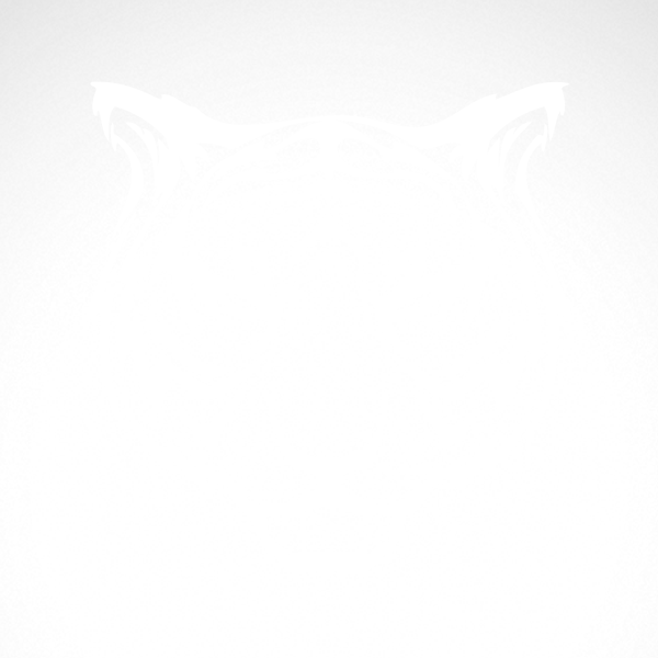 Mascot Drawing Wild Cat Clipart (600x600), Png Download