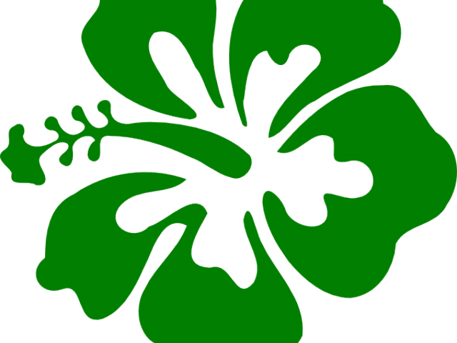 Ranuncula Clipart Hawaiian Flower - Png Download (640x480), Png Download