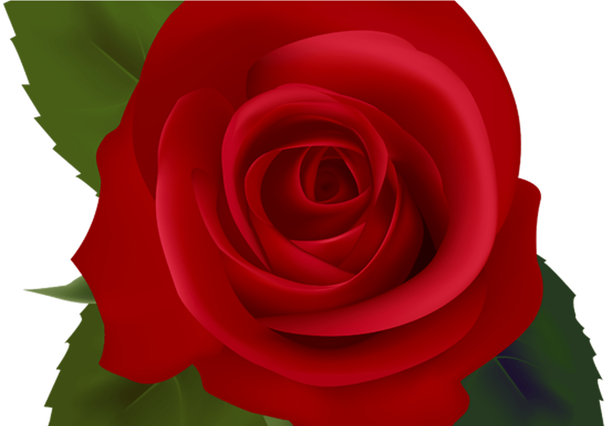 Red Flower Clip Free Download Art On Clip Art Clipartbarn - Png Download (1368x855), Png Download