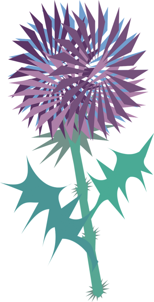 Vector Graphics Clipart (500x980), Png Download