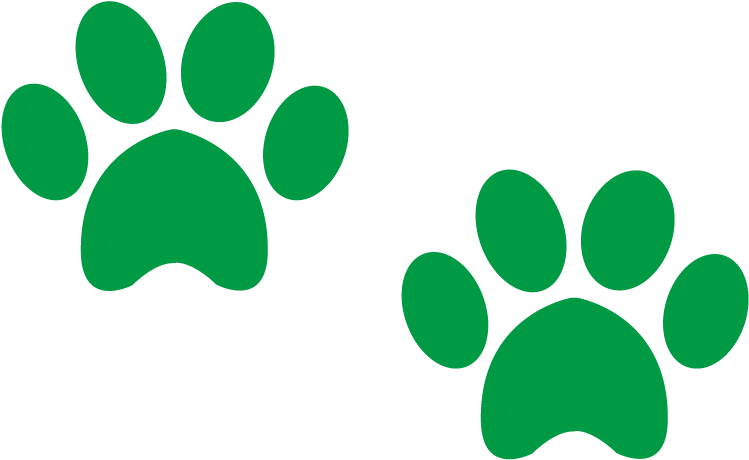 Dog-walking Clipart (872x711), Png Download