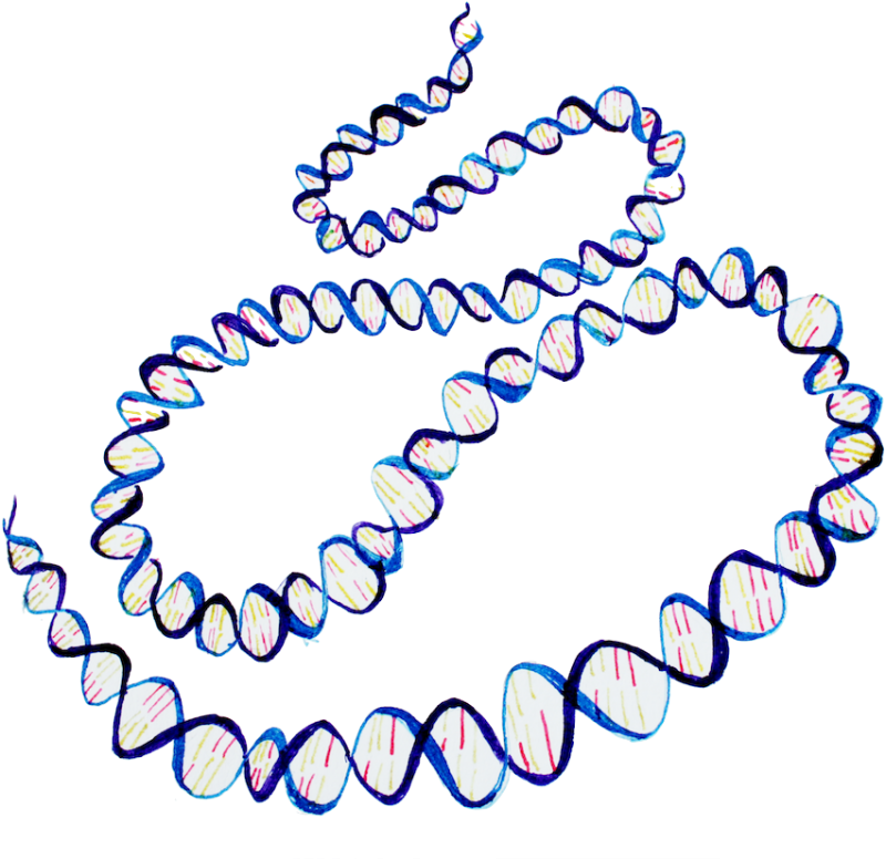 Recently Completed Project Faces Clipart (940x804), Png Download