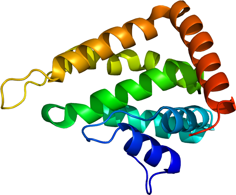 Collection Of Free Appenage Clipart (863x722), Png Download