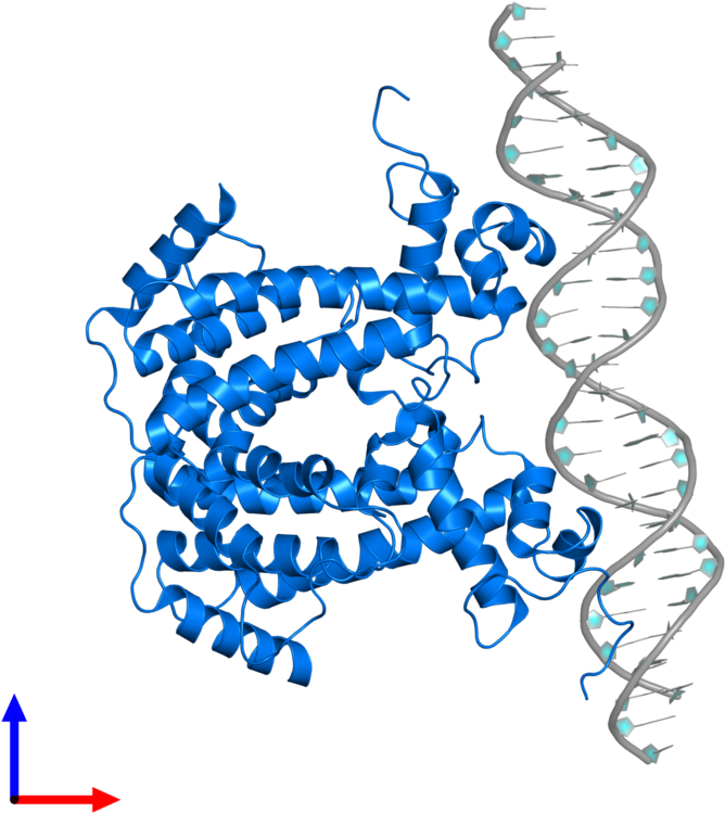 Http - //www - Ebi - Ac - Type - Latest Date Desc&entry Clipart (800x800), Png Download