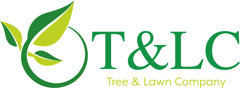 We Offer Reliable And Reputable Lawn Care And Tree Clipart (900x367), Png Download