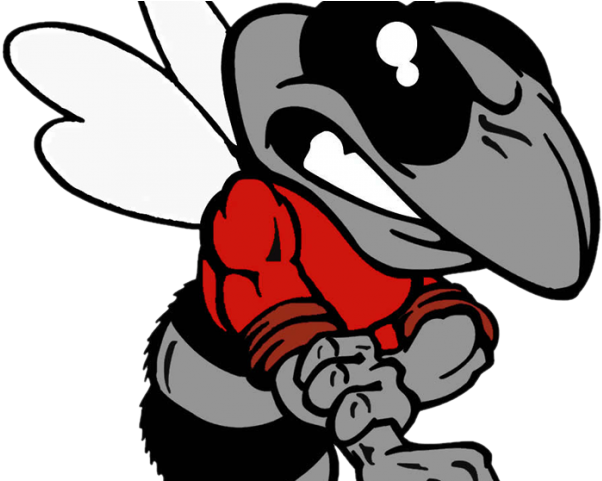 Hornet Clipart Soccer - Png Download (640x480), Png Download