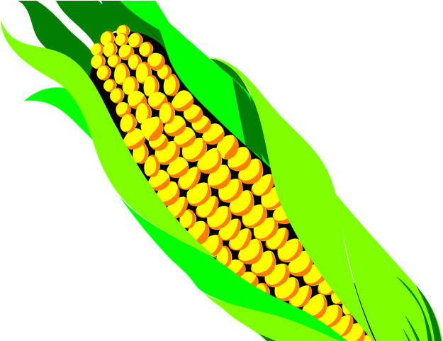 Drawn Korn Transparent Clipart (640x480), Png Download