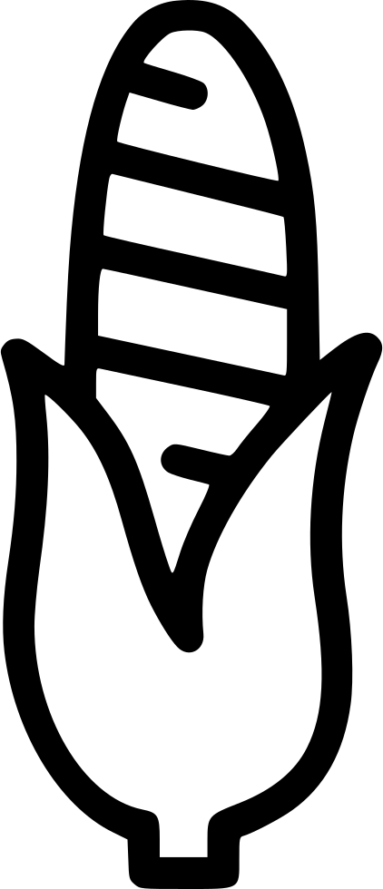 Corn Grain Maize Sweet American Food Comments Clipart (422x980), Png Download