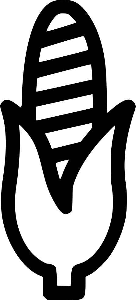 Corn Sweet Maize Grain Crop American Diet Comments Clipart (446x980), Png Download