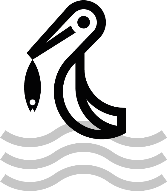 Pelican Fish Clipart (800x800), Png Download
