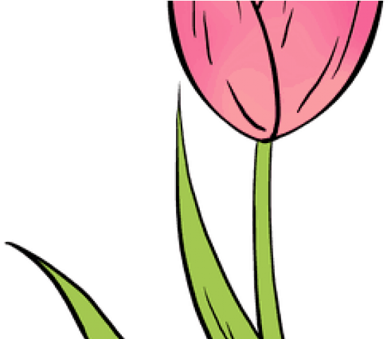Drawn Tulip Fast Clipart (640x480), Png Download