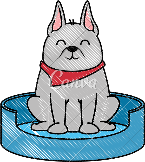 Cute Dog In The Clipart (800x800), Png Download