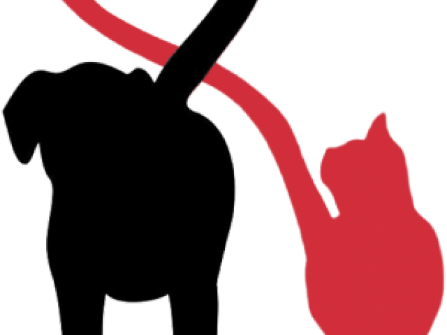 Pet Clipart Pet Sitter - Png Download (640x480), Png Download