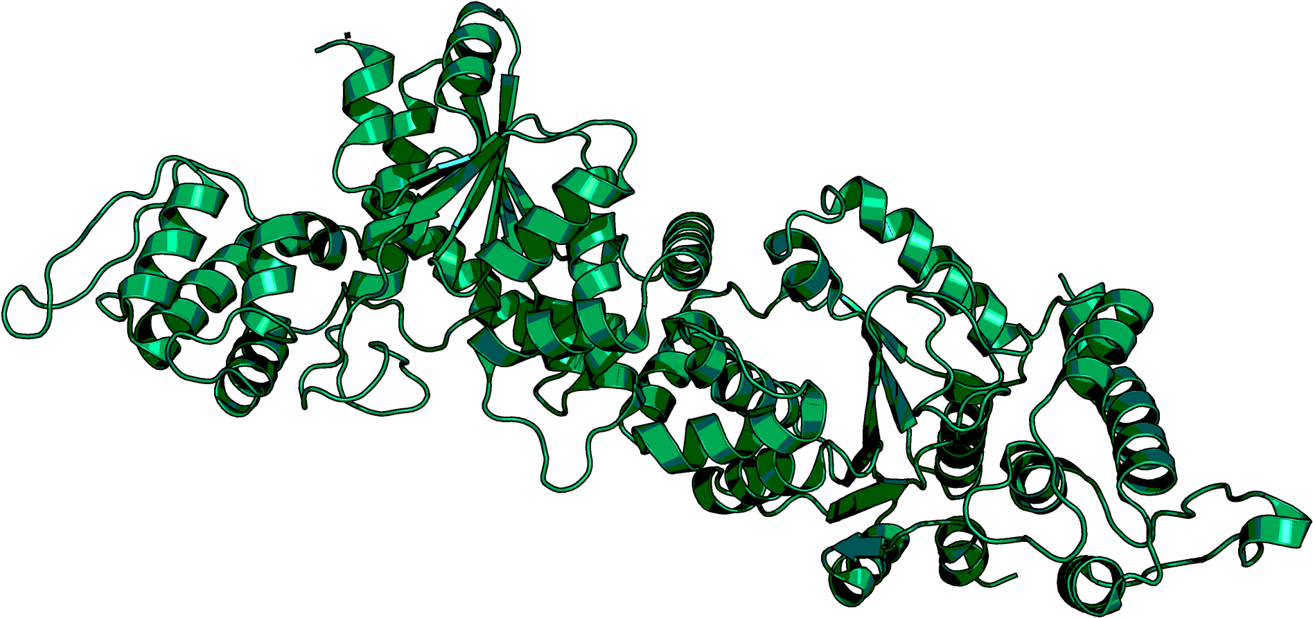 O Methyl L Tyrosine Trna Synthetase Clipart (2000x1181), Png Download